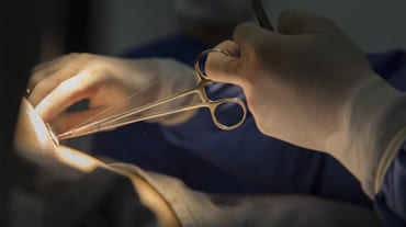 Cirugía de Tejidos Blandos del Cuerpo